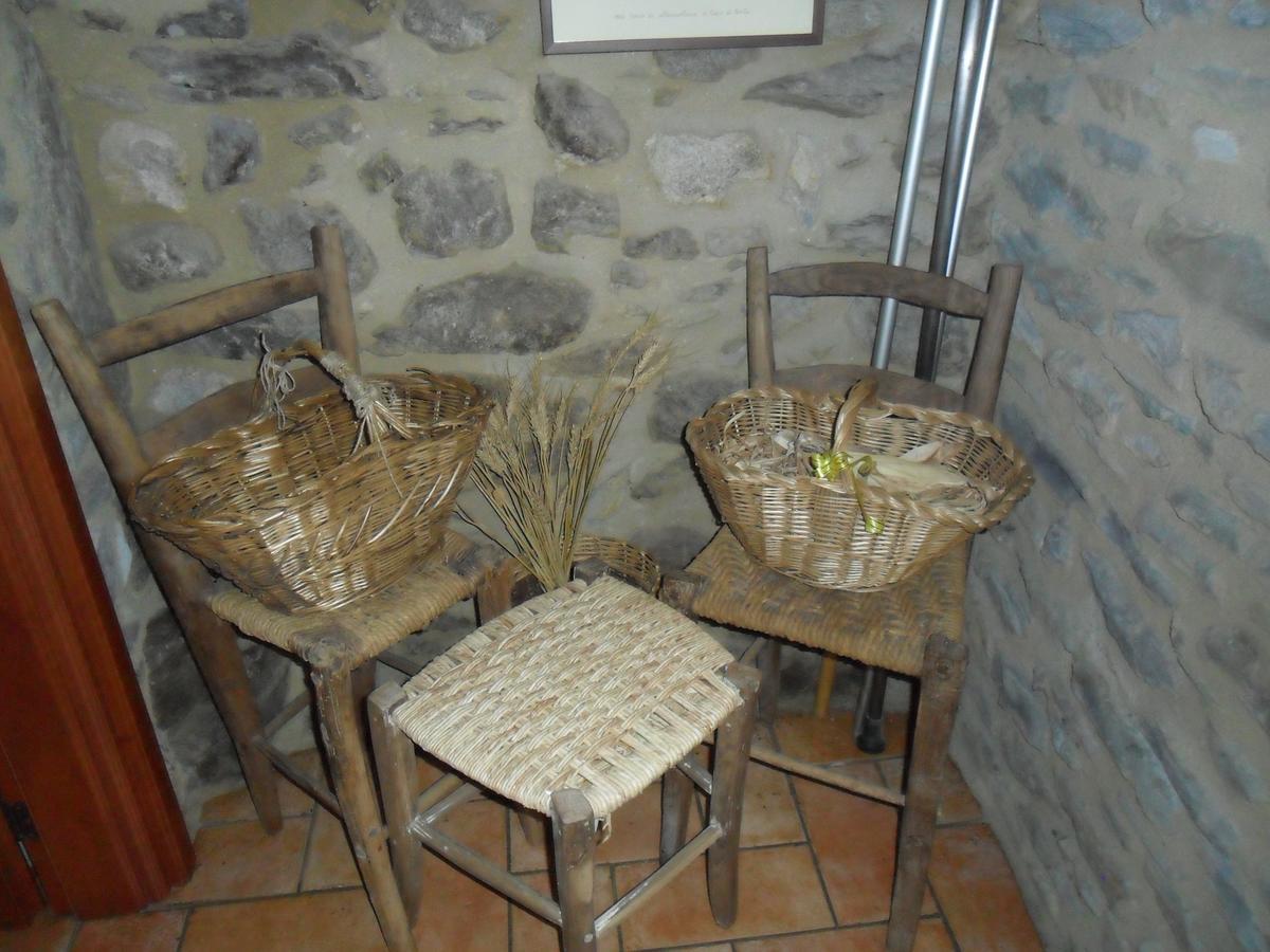 Capo di PonteI Camuni住宿加早餐旅馆 外观 照片